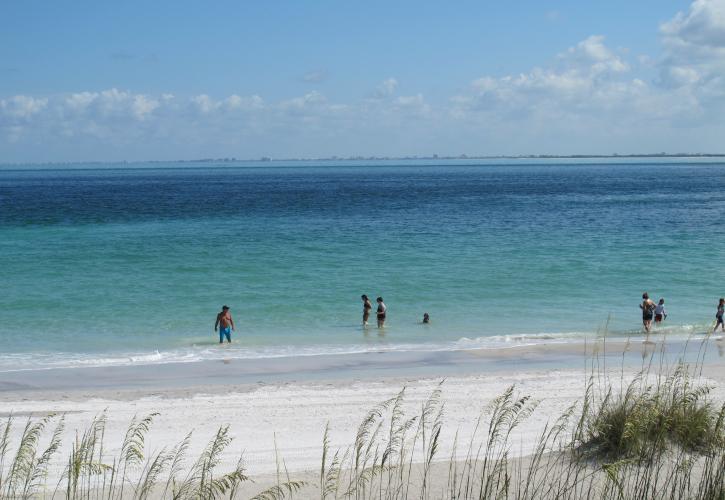 Beach at Egmont Key