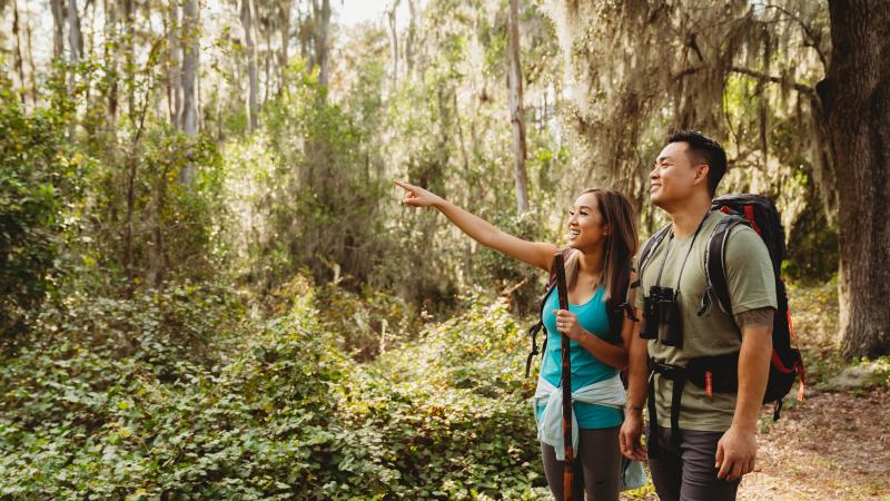 Lake Louisa Trails