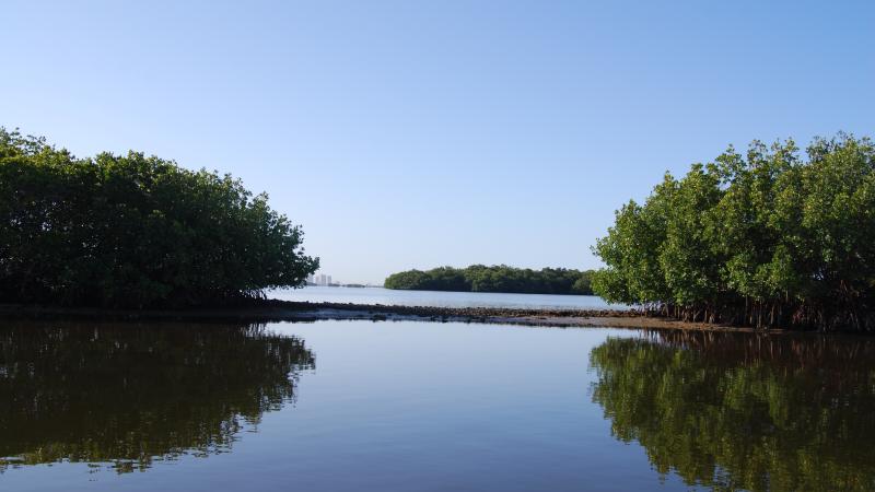 Mound Key Archaeological State Park