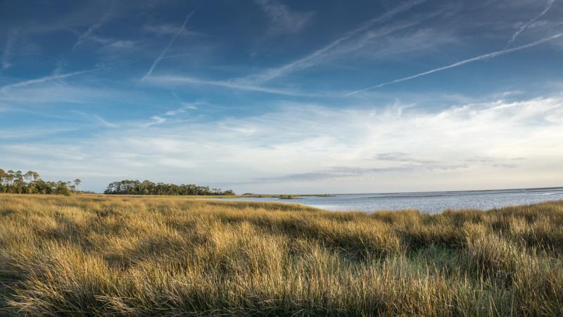 Vista of Cedar Key salt marsh and blue sky with wispy clouds