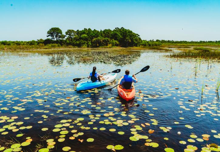 Paddling at Savannas