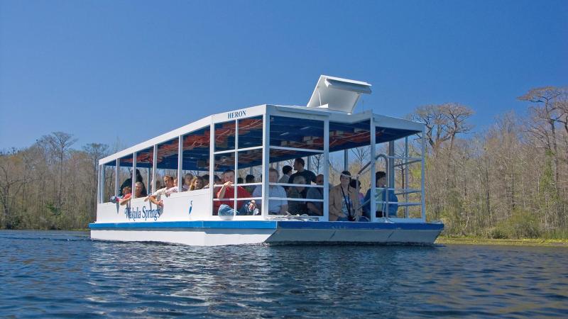 River Boat Tour on Spring Run