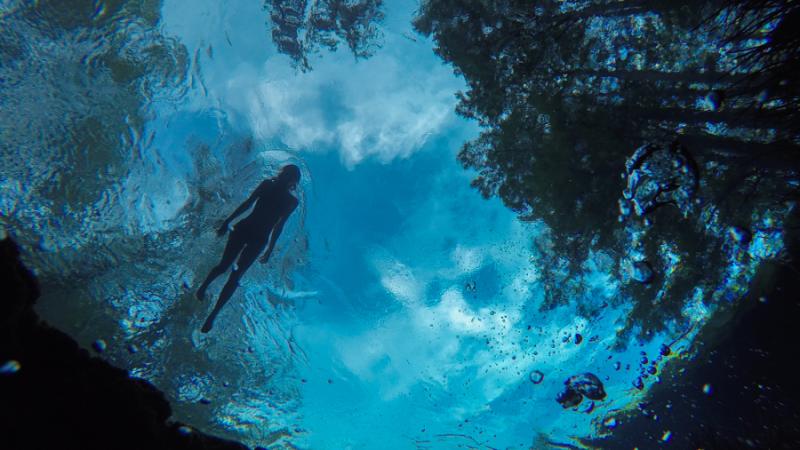 A snorkeler is seen from underneath, outlined by the blue surface of the water.