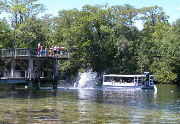 Diving tower at Wakulla Springs